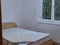 Berceni, Aleea Crevedia